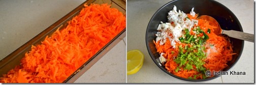 starter recipe carrot coconut recipes starter recipe carrot coconut recipes