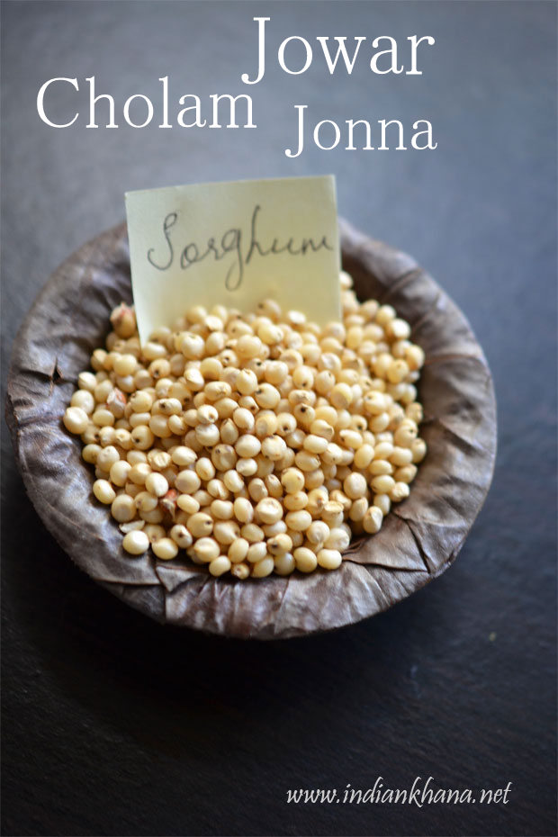 Sorghum-Jowar-Cholam Sorghum-Jowar-Cholam
