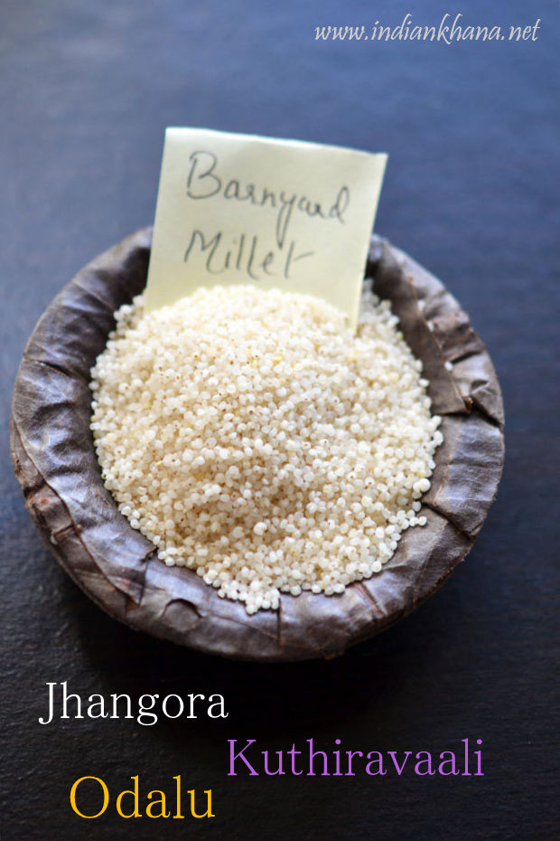 Baryard-Millets-Jhangora-Kuthiravali Baryard-Millets-Jhangora-Kuthiravali