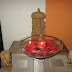 Happy Diwali