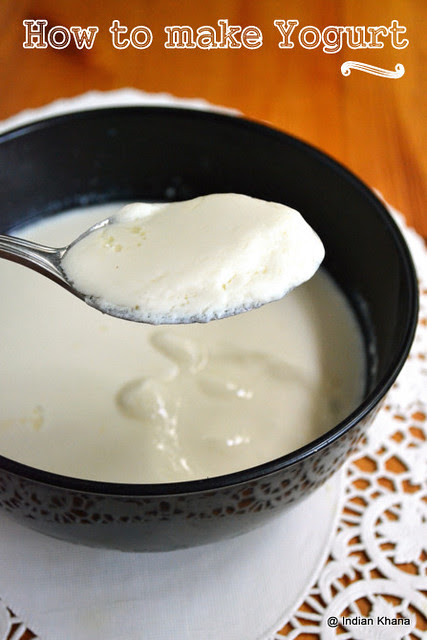How to make yogurt curd dahi at home, homemade curd yogurt dahi thayir perugu