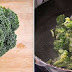 Broccoli Pesto Pasta | Pasta Recipes