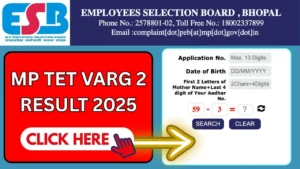 MP TET Varg 2 Result 2025, Cut Off Marks, Merit List