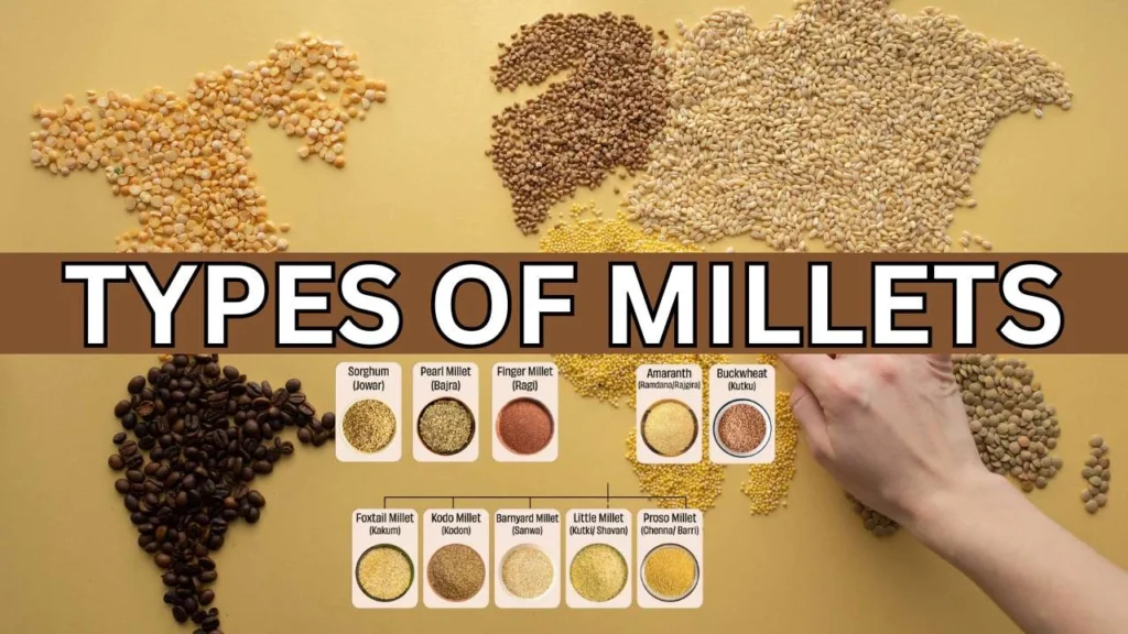 Types of Millets: Benefits, Nutritional Value
