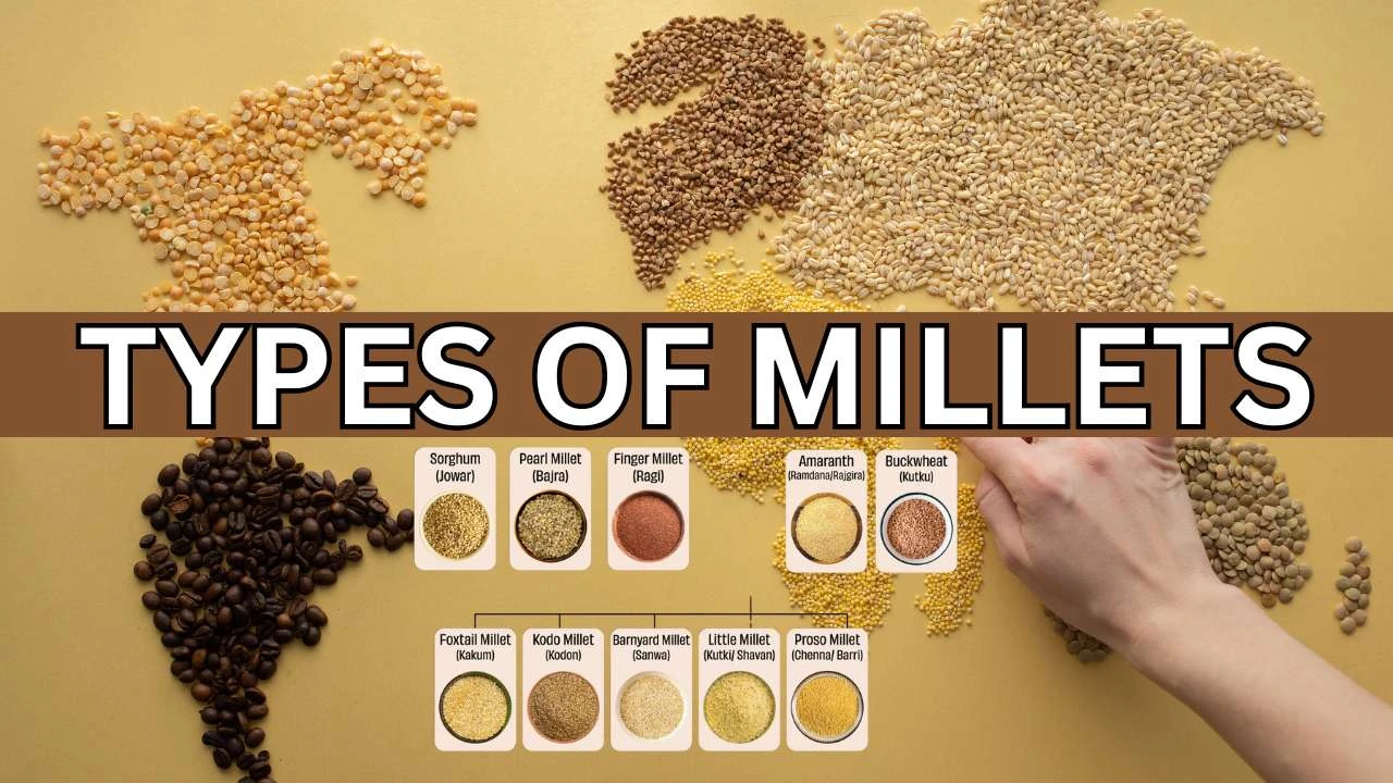 Types of Millets: Benefits, Nutritional Value
