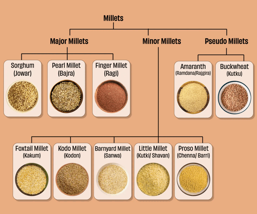 Types of Millets