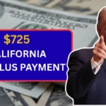$725 California Stimulus Payment 2025